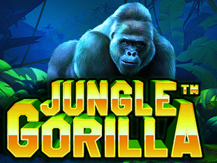 Jungle Gorilla