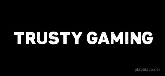 Partner 1 Payment Method